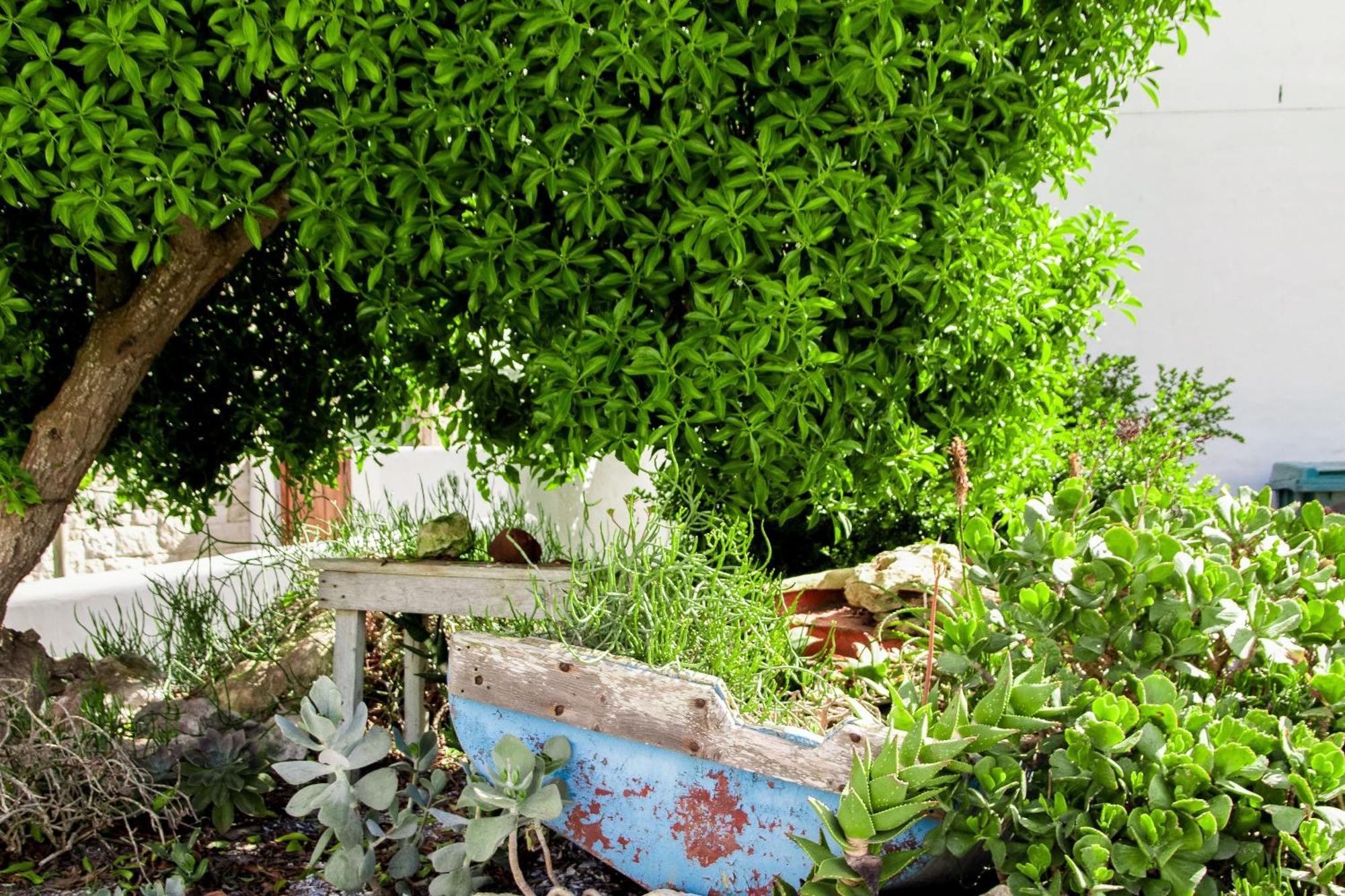 Hocus Pocus Cottage Paternoster Buitenkant foto